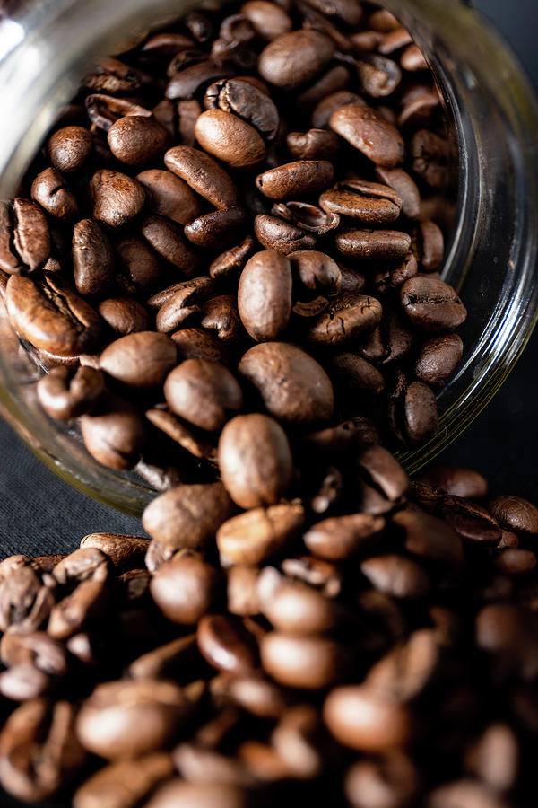 Coffee Beans no. 4 Photograph by Bruce Davis