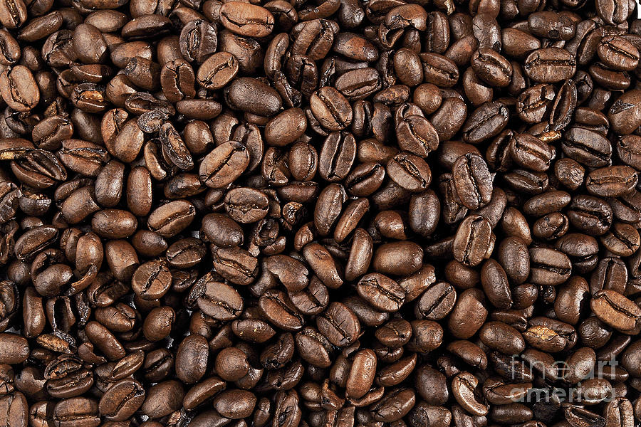 Coffee Beans Photograph by Olga Hamilton