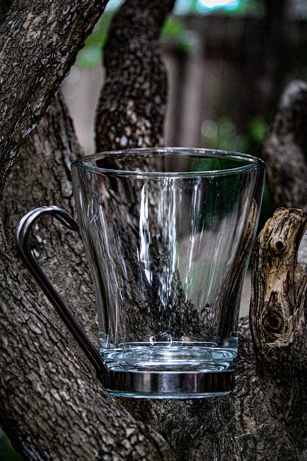 Coffee Glass in a Boxwood Photograph by W Craig Photography