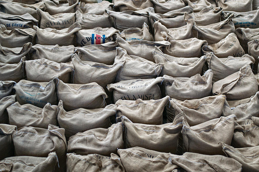 Coffee sacks Photograph by OscarCrosby