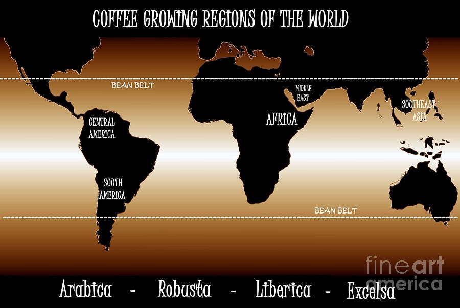 Coffee types and coffee growing regions map Mixed Media by David Lee Thompson