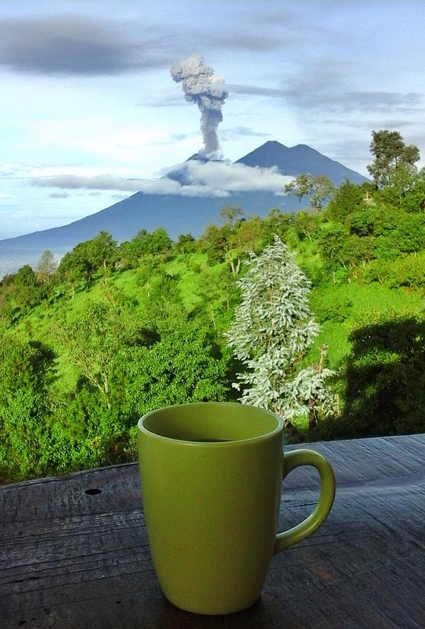 Volcano Coffee Photograph by Andrea Whitaker