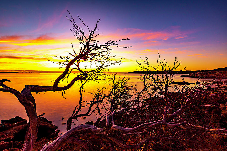 Coffin Bay Sunset Photograph by Peter Rattigan - Pixels