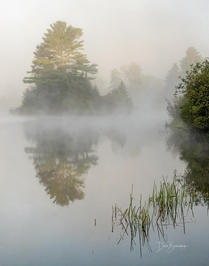 Coffin Pond Fog #9373 Photograph
