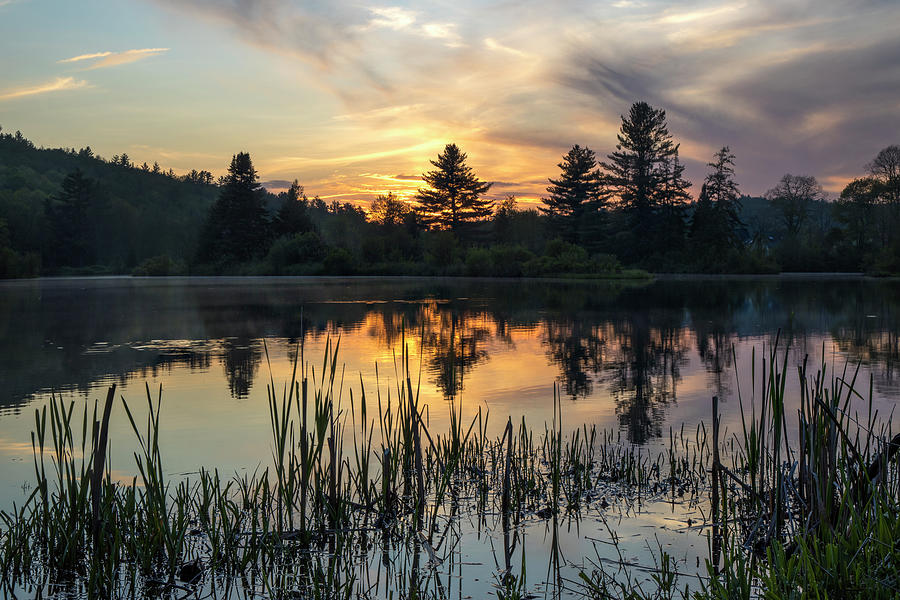 Coffin Pond Sunset Reed Reflections Photograph by White Mountain Images