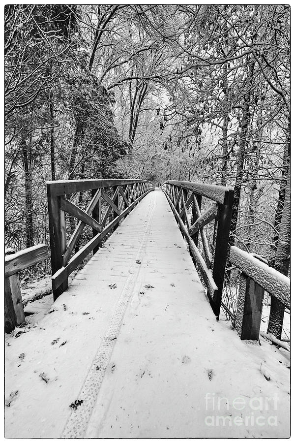 Cofrin Memorial Arboretum Walkway Bridge in Snow  Photograph by Nikki Vig