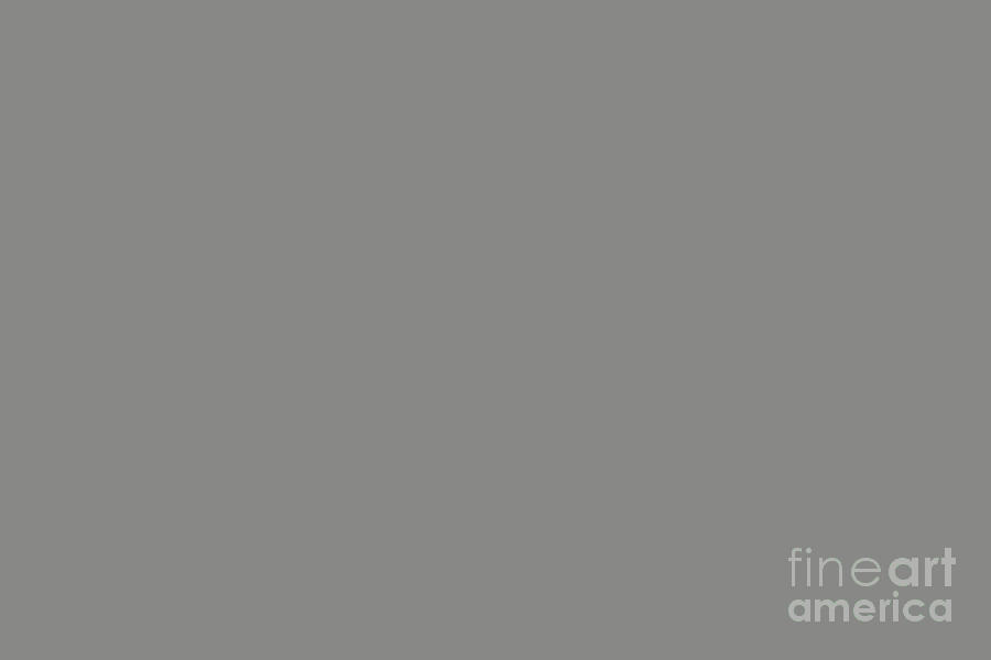 Grey Digital Art - Cohesive Medium Gray Solid Color Pairs Valspars 2022 Color of the Year Grey Suit 4004-2A by Simply Solids