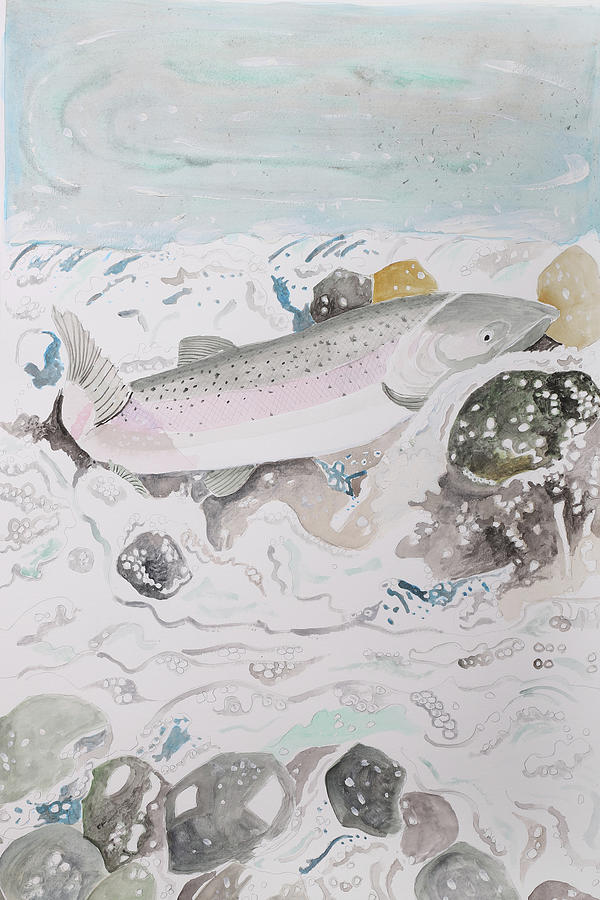 Animal Painting - Coho Salmon by Wynn Derr