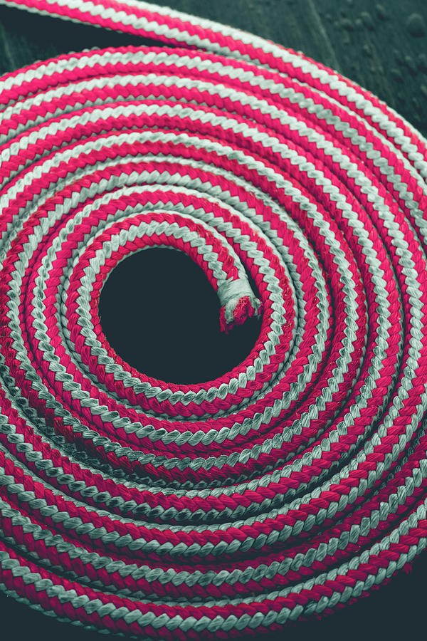 Coiled Photograph