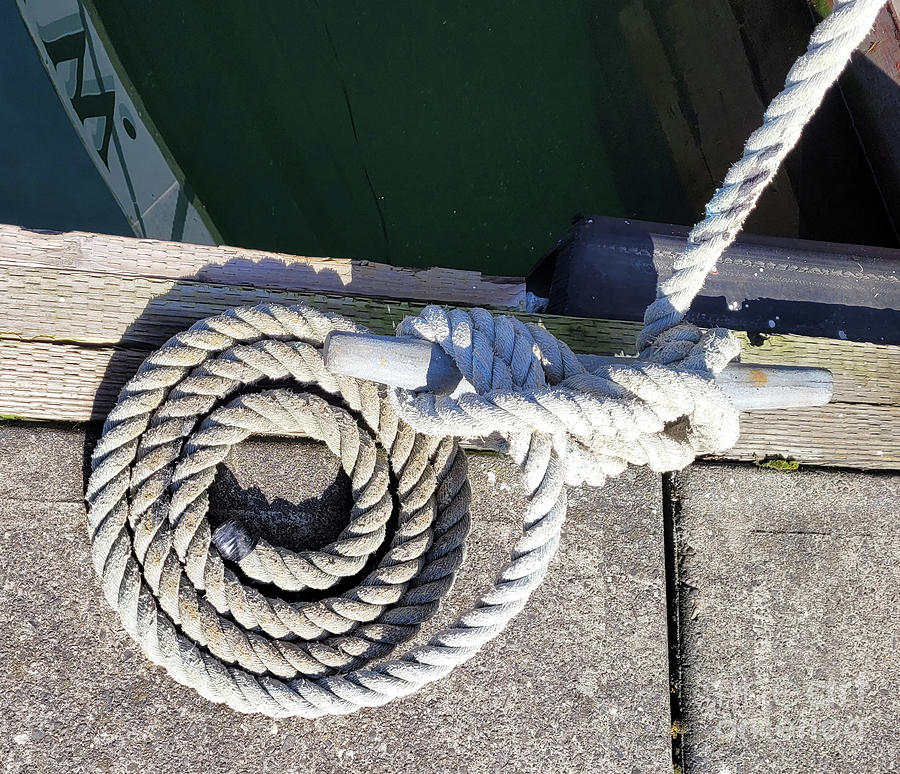 Coiled Rope Dock Side Photograph by Norma Appleton