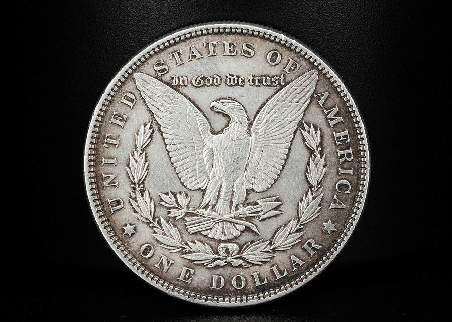 Coin Collecting - 1886 Morgan Dollar Eagle Side Photograph by Amelia Pearn