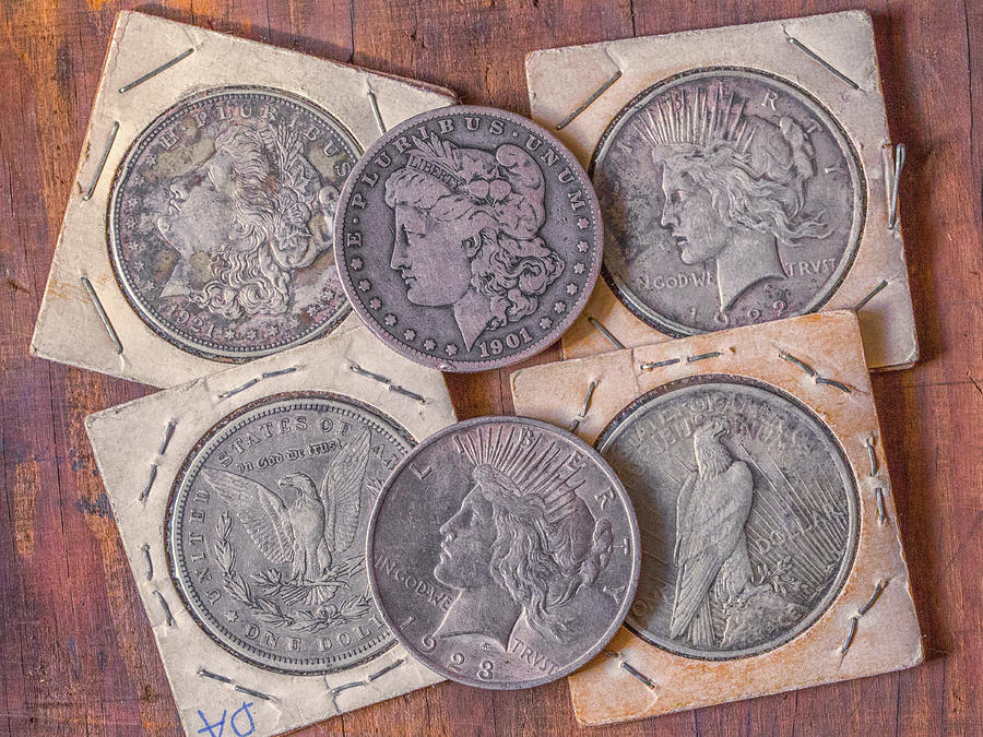 Coin Collecting Silver Dollars Photograph