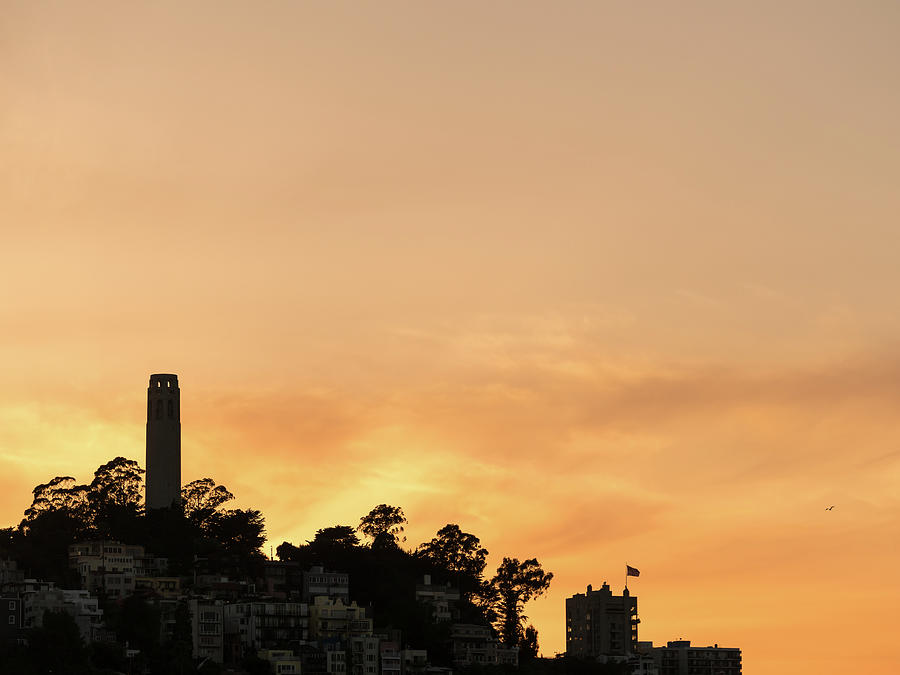 Coit tower at sunset in the downtown area of San Francisco Photograph by Steven Heap
