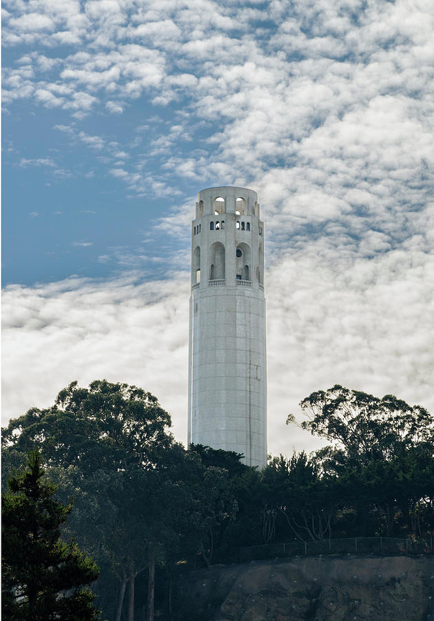 Coit Tower Photograph by Betty Depee