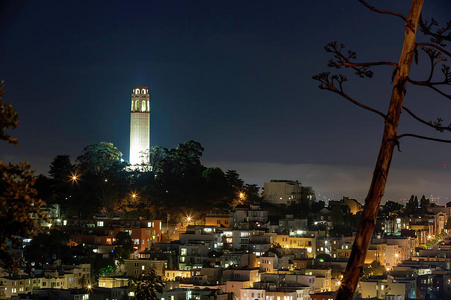 Coit Tower by Night Photograph by Mark Harrington