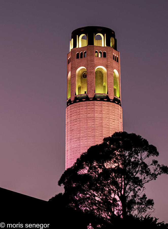 Coit Tower Photograph by Moris Senegor - Fine Art America