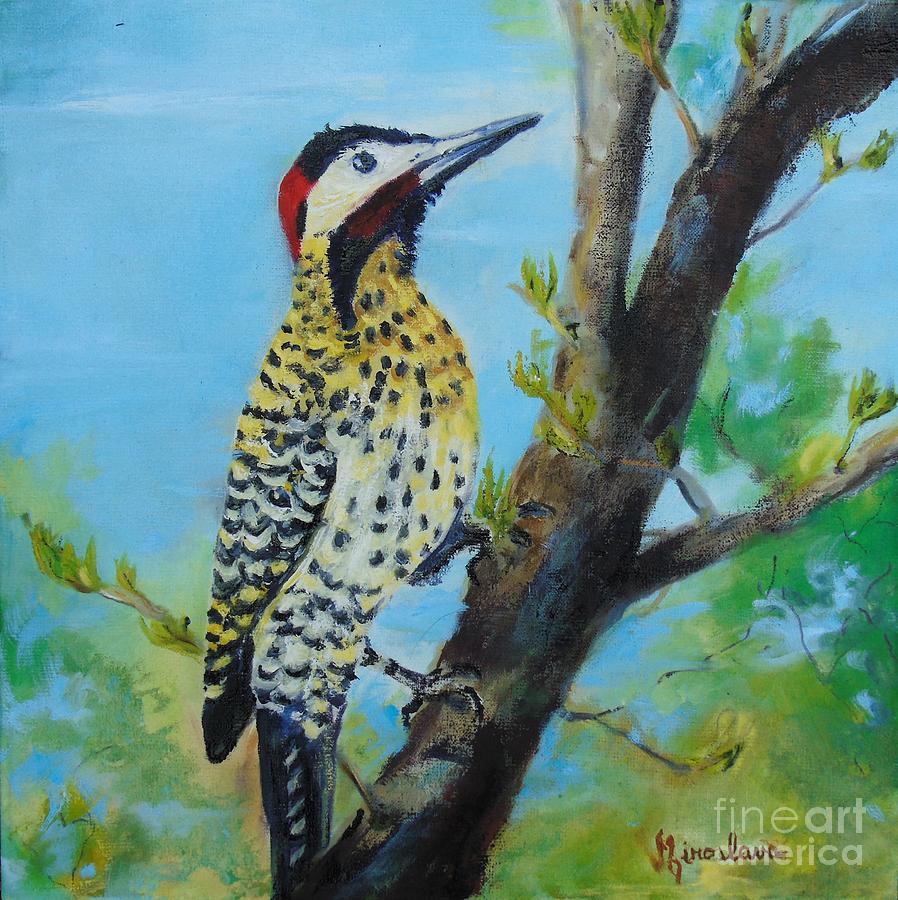Colaptes melanochloros- Green-barred woodpecker Painting by Silvana Miroslava Albano