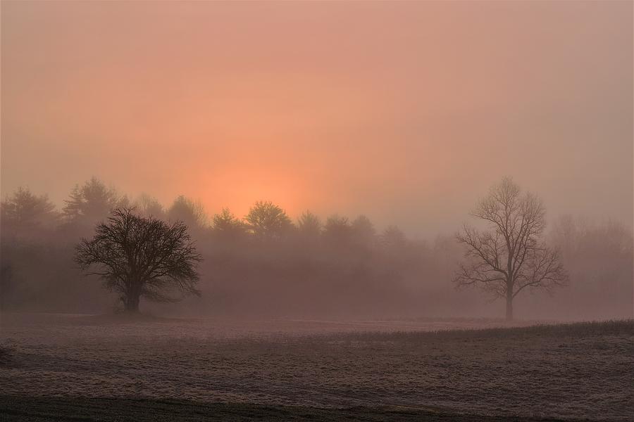 - Cold and foggy sunrise - Lee NH Photograph by THERESA Nye