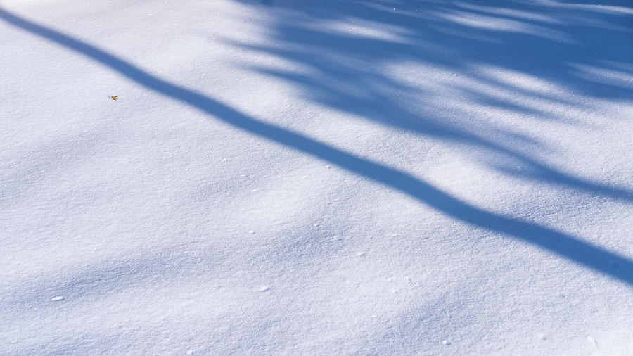 Cold Blue Shadows Photograph by Monte Stevens