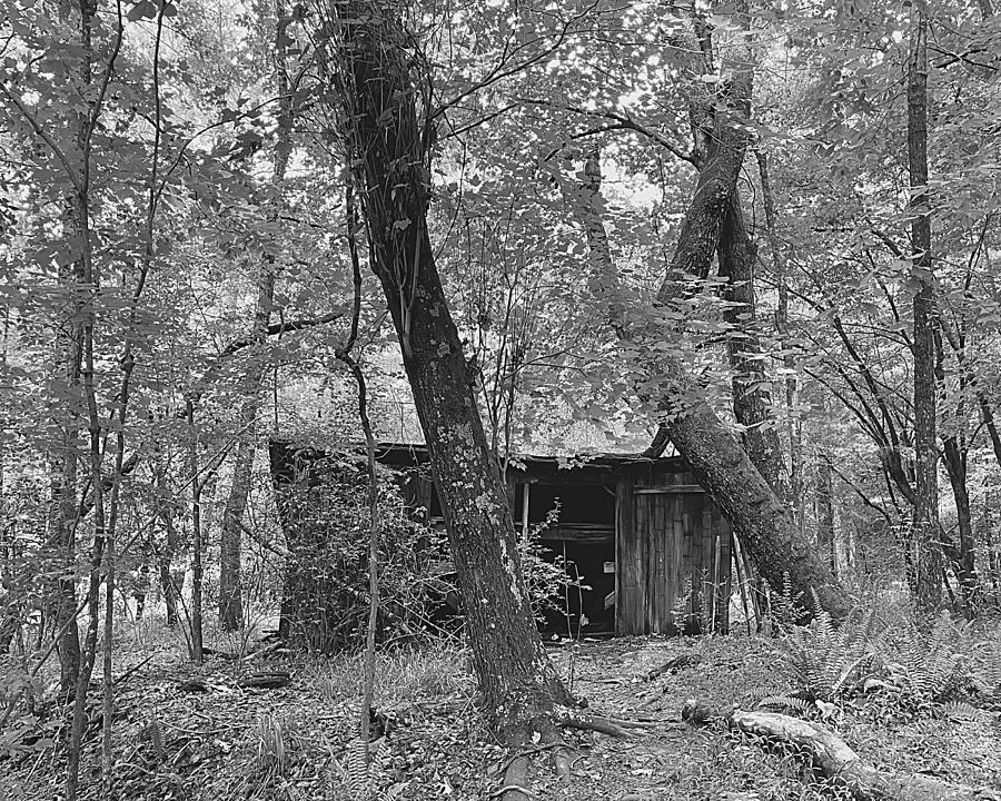 Cold Chills Cabin BW Photograph by Lee Darnell