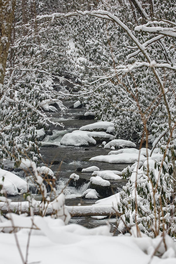 Cold Creek After the Snow Photograph by John Haldane
