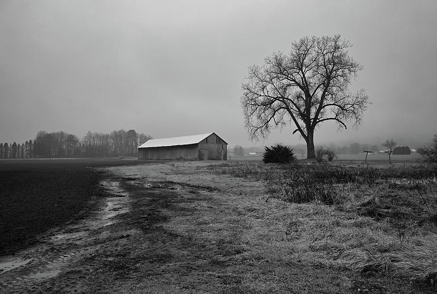 Cold Foggy Farm Photograph by Steven Nelson