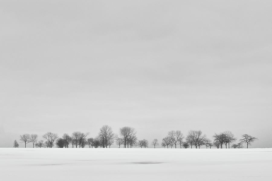 Black And White Photograph - Cold Horizon by Scott Norris