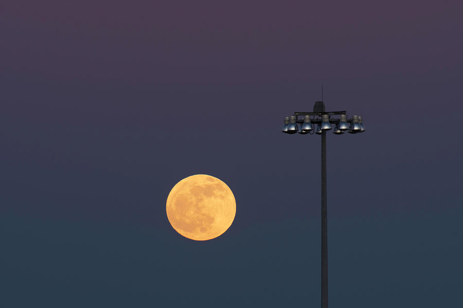 Cold Moon by Jay Anne Boza Cold Moon by Jay Anne Boza