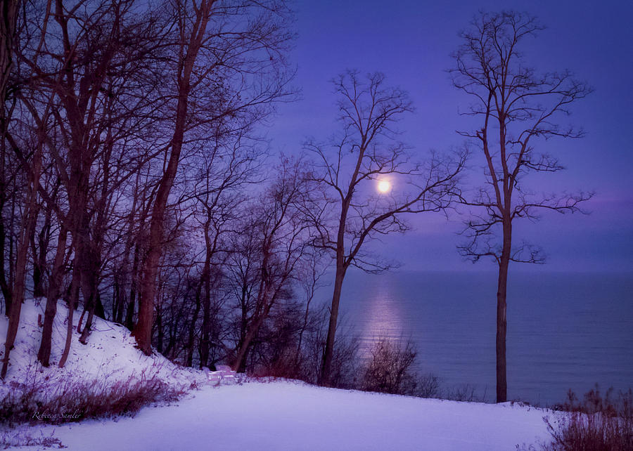 Cold Moon Photograph by Rebecca Samler