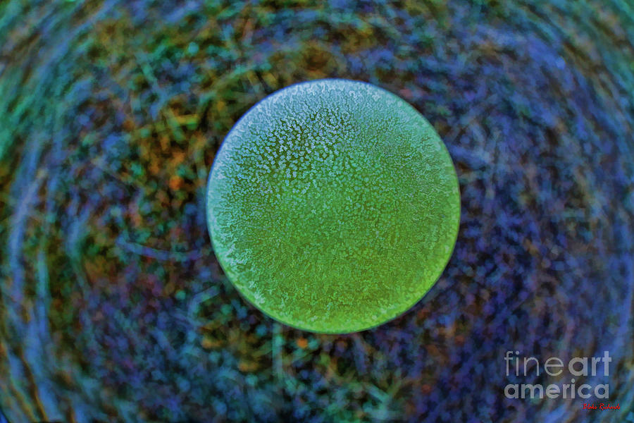 Cold Round Sphere Photograph by Blake Richards