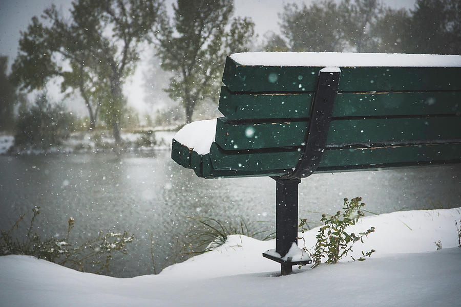 Bench Photograph - Cold Seat by Kamie Stephen Bench Photograph - Cold Seat by Kamie Stephen