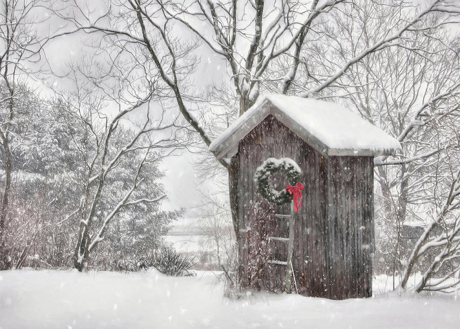 Winter Photograph - Cold Seat by Lori Deiter