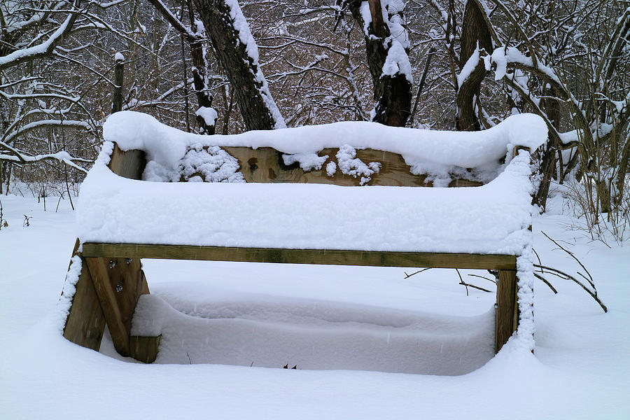 Cold Seat Photograph by Scott Kingery