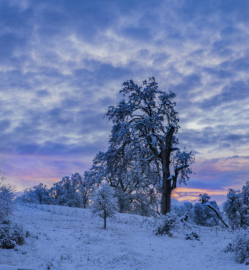 Cold Snowy Morning by Jonathan Hansen Cold Snowy Morning by Jonathan Hansen