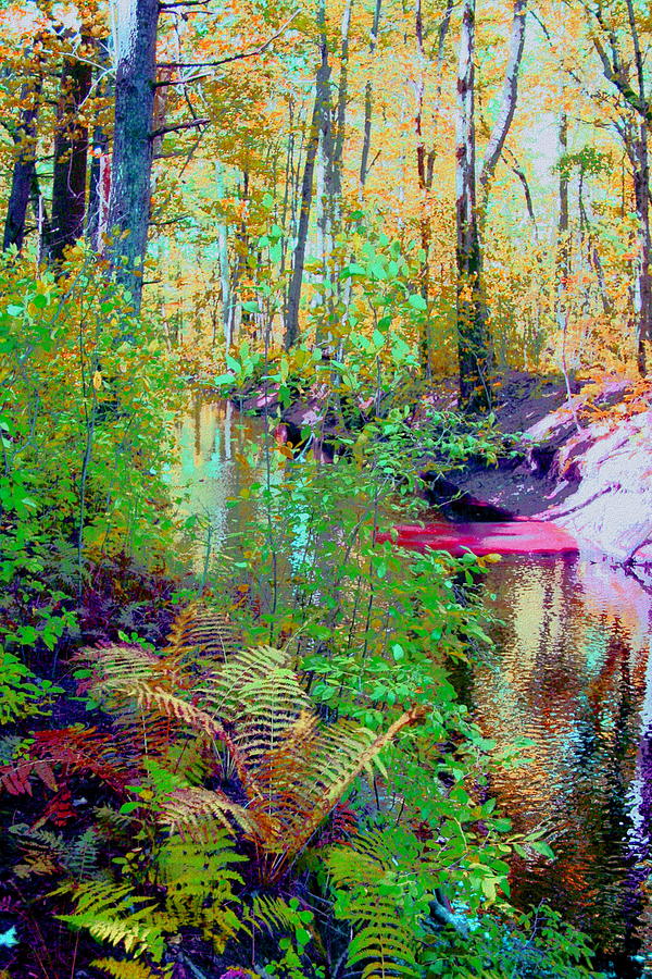 Cold Spring Brook Digital Art by Cliff Wilson