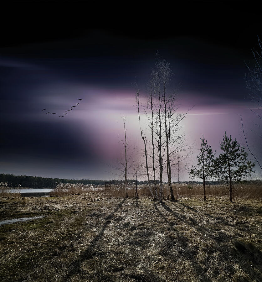 Cold Spring Evening Jurmala Photograph by Aleksandrs Drozdovs