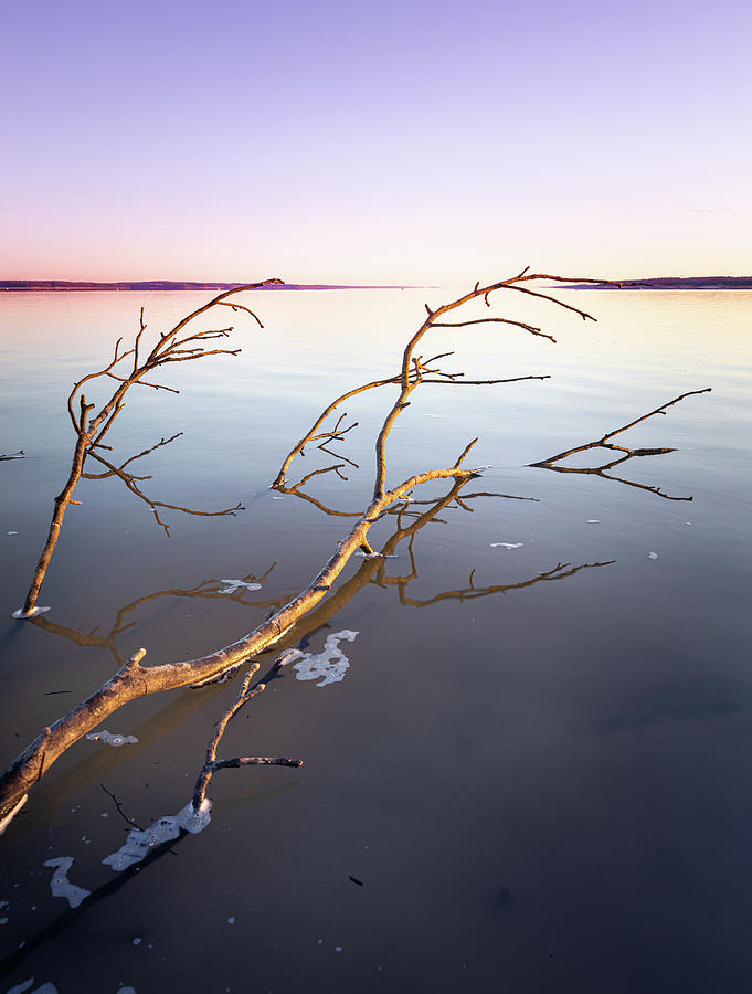 Cold Sunrise At Sardis Lake Photograph by Jordan Hill