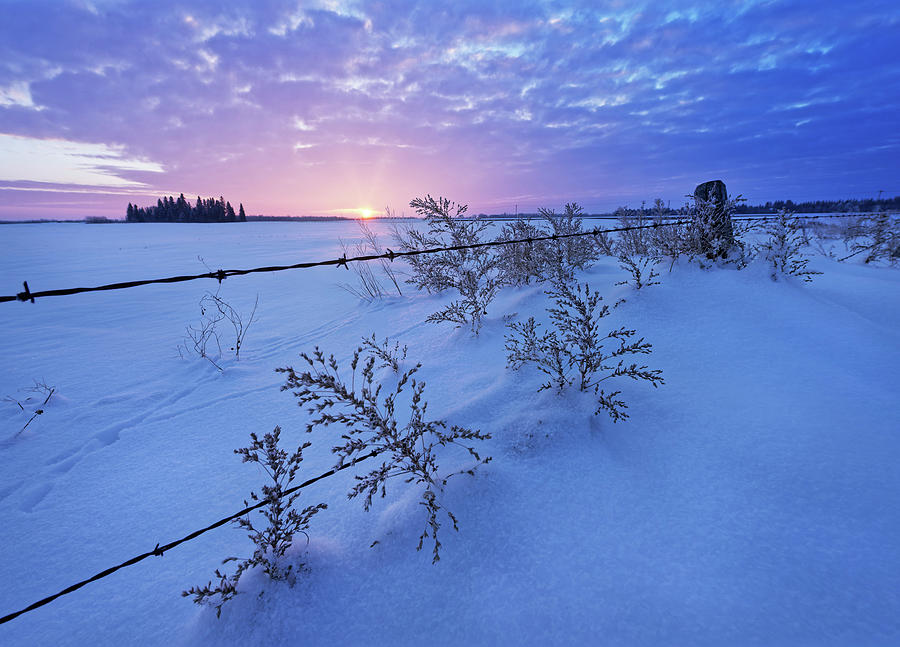 Cold Sunrise Photograph by Dan Jurak