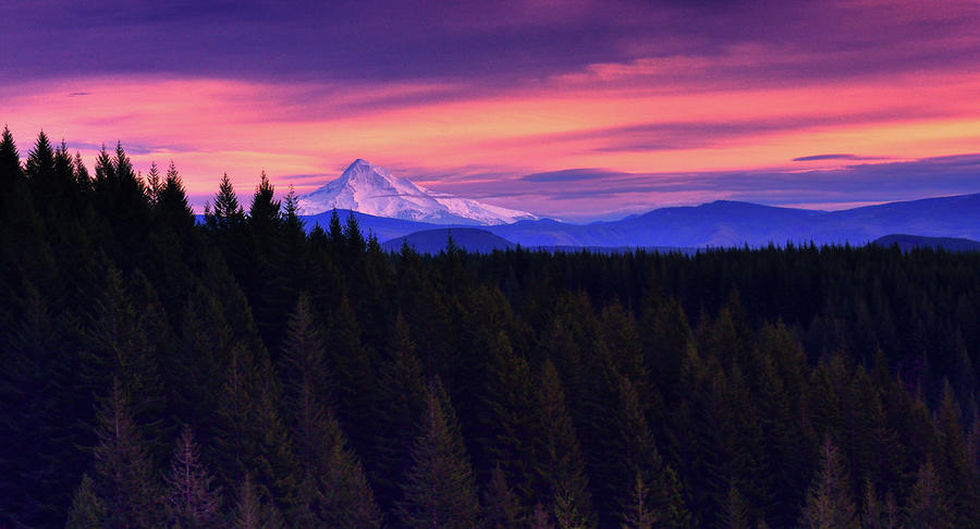 Cold Sunset - Mount Hood Photograph