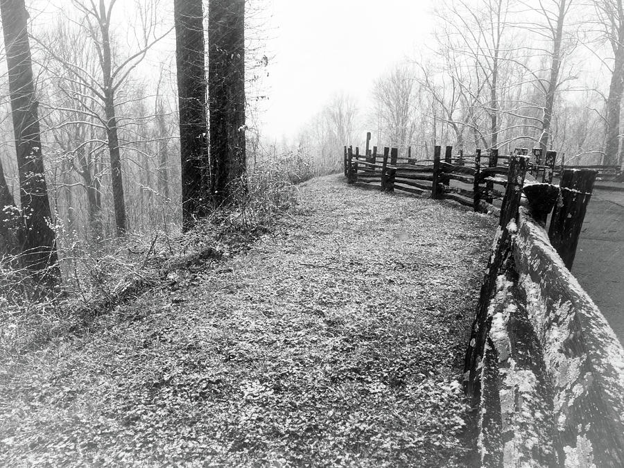Cold Walkway in the Smokies Photograph by James C Richardson
