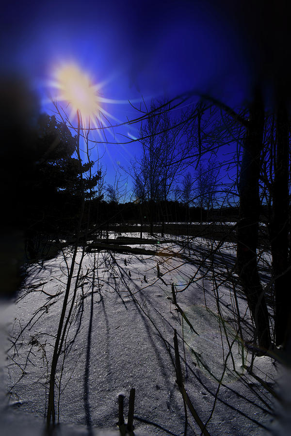 Cold winter day Photograph by Bill Goldman - Fine Art America