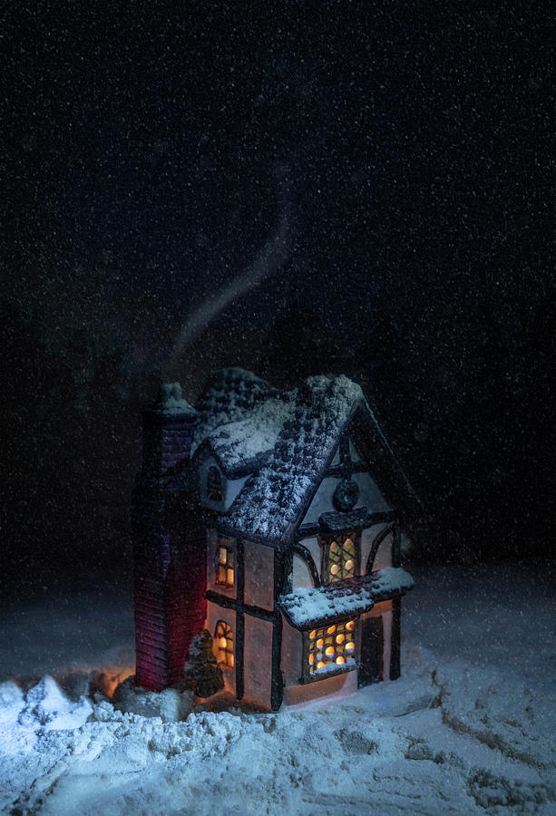 Cold winter night Photograph by Jaroslaw Blaminsky