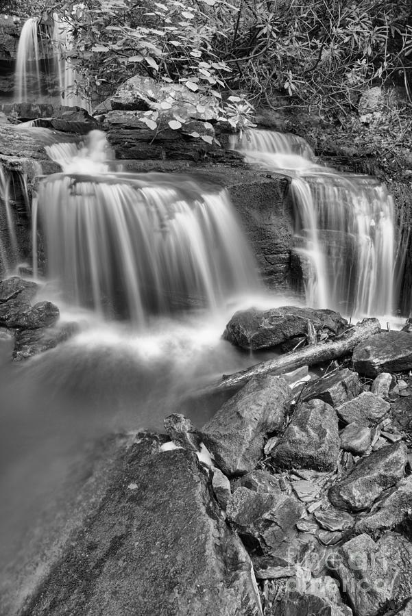 COle Run Falls Spring Portrait Black And White Photograph by Adam Jewell