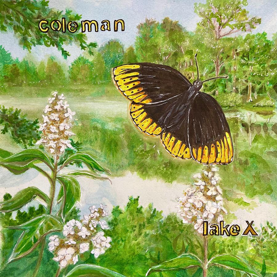 Butterfly Painting - Coleman Lake by Starr Weems