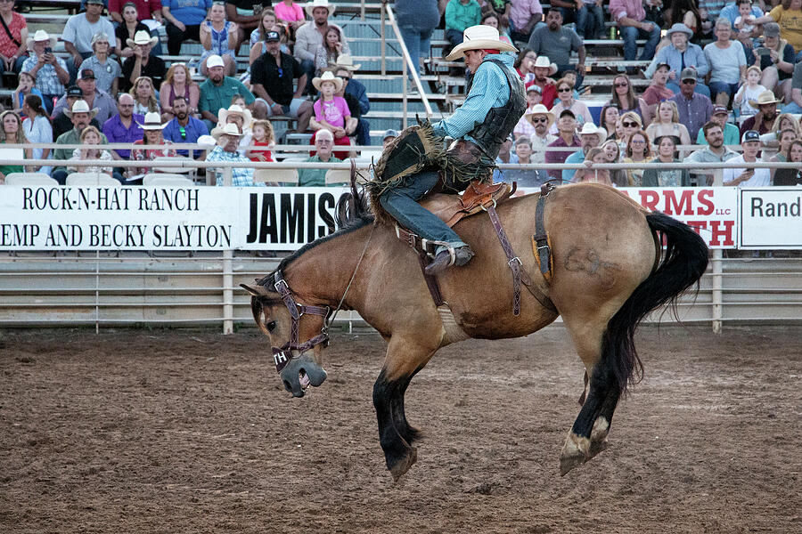 Coleman Rodeo Photograph by Linda Buckman Fine Art America