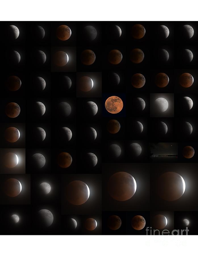 Collage Of Lunar Eclipse Of May 15-16, 2022 Photograph by Sheila Lee
