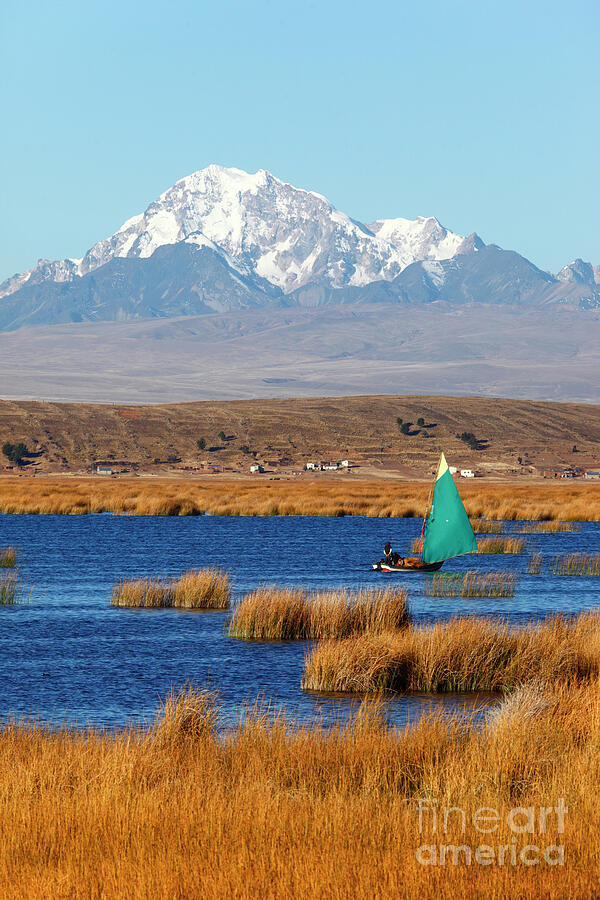Collecting totora reeds Lake Titicaca Bolivia Photograph by James Brunker