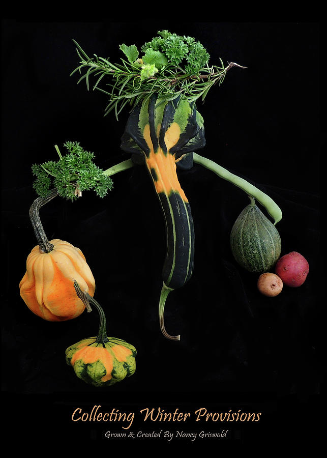 Collecting Winter Provisions Vegetable Art Photograph by Nancy Griswold