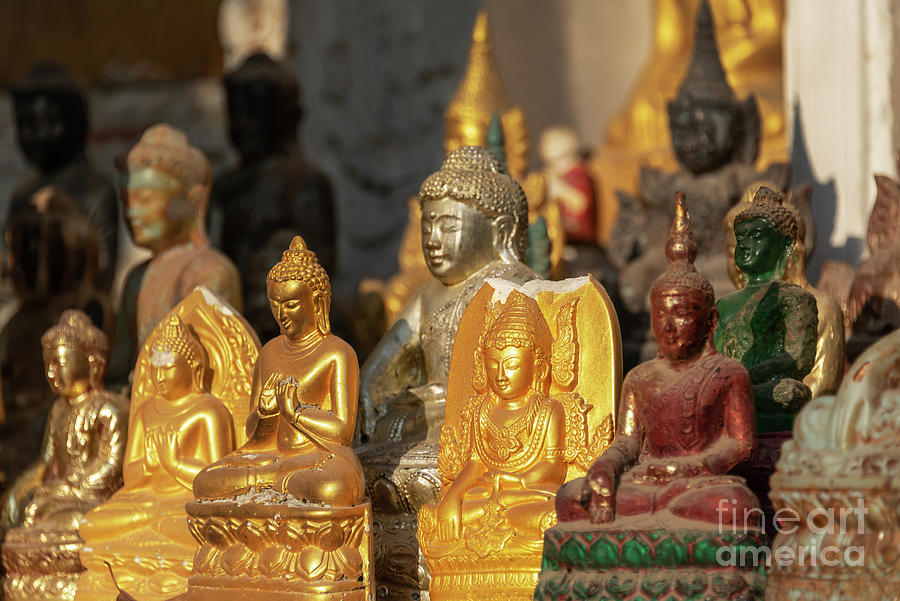 Collection of Buddhas Photograph by Delphimages Photo Creations