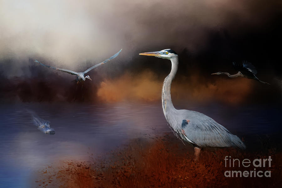 Wildlife Mixed Media - Collection of Great Blue Heron by Ed Taylor